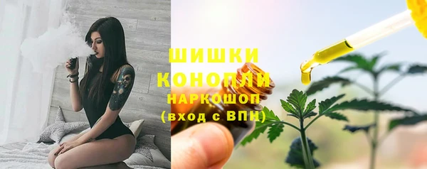 молекула духа Верхний Тагил