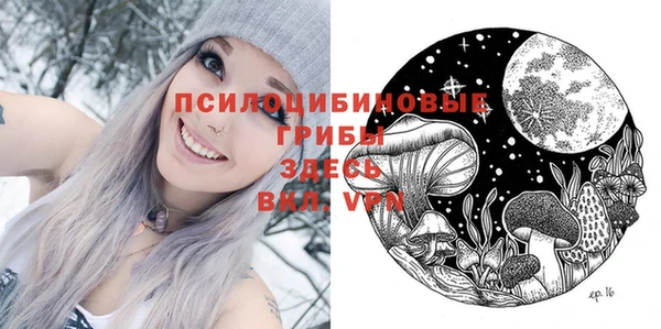молекула духа Верхний Тагил