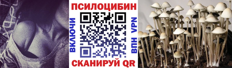 где купить наркоту  Павловская  Галлюциногенные грибы мухоморы 